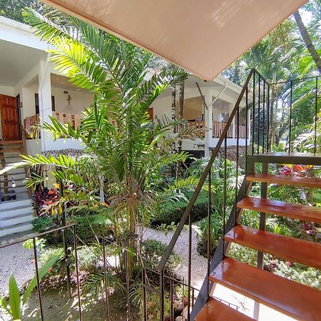 Colibri Apartments - 4 Min Walk To The Beach! Playa Santa Teresa  Exterior foto