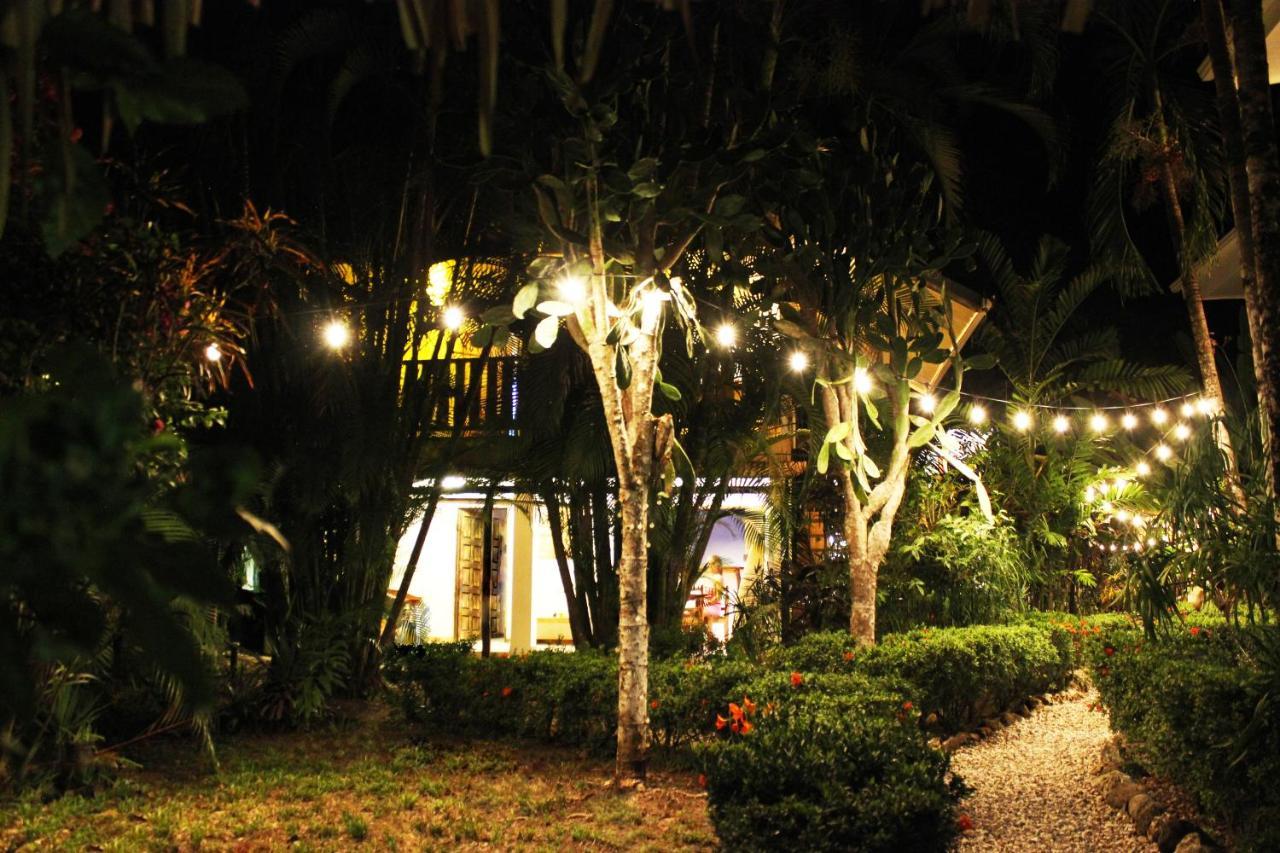 Colibri Apartments - 4 Min Walk To The Beach! Playa Santa Teresa  Exterior foto