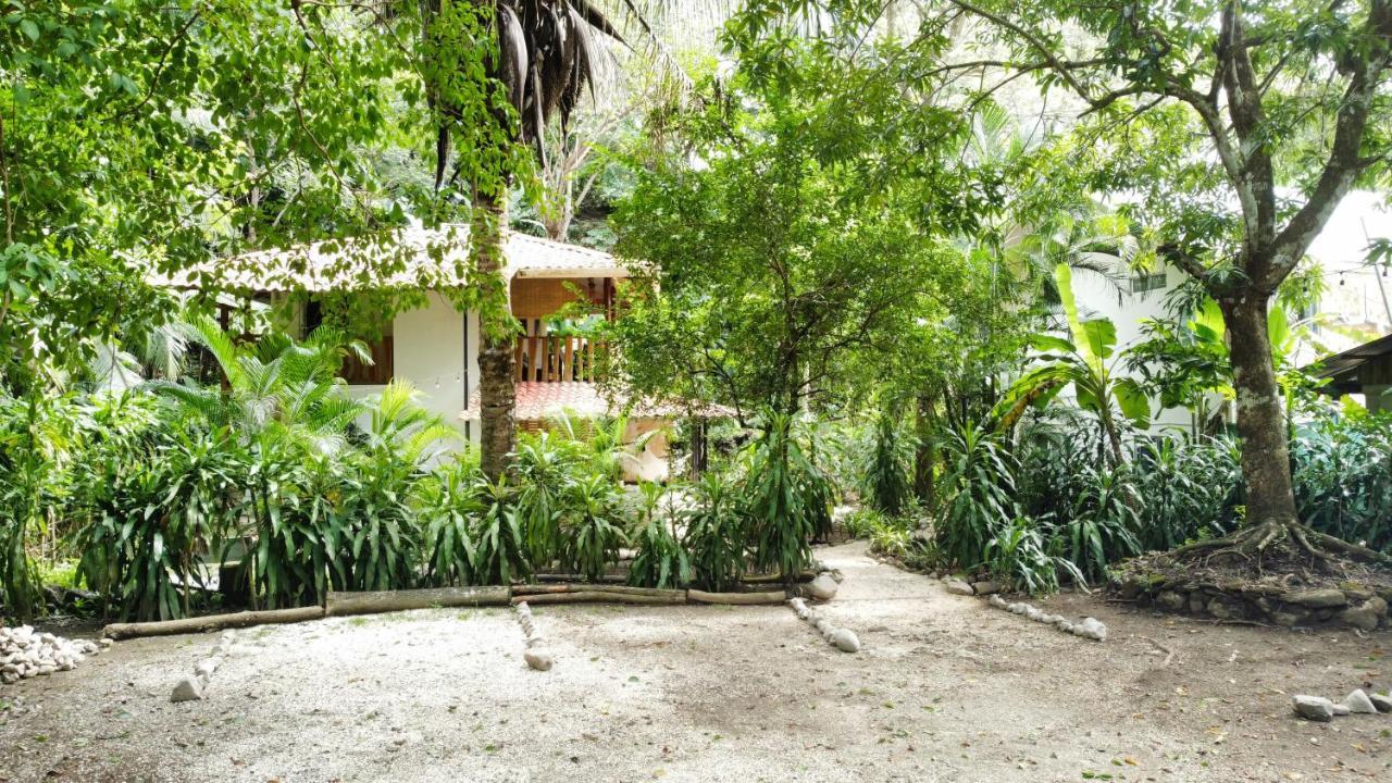 Colibri Apartments - 4 Min Walk To The Beach! Playa Santa Teresa  Exterior foto