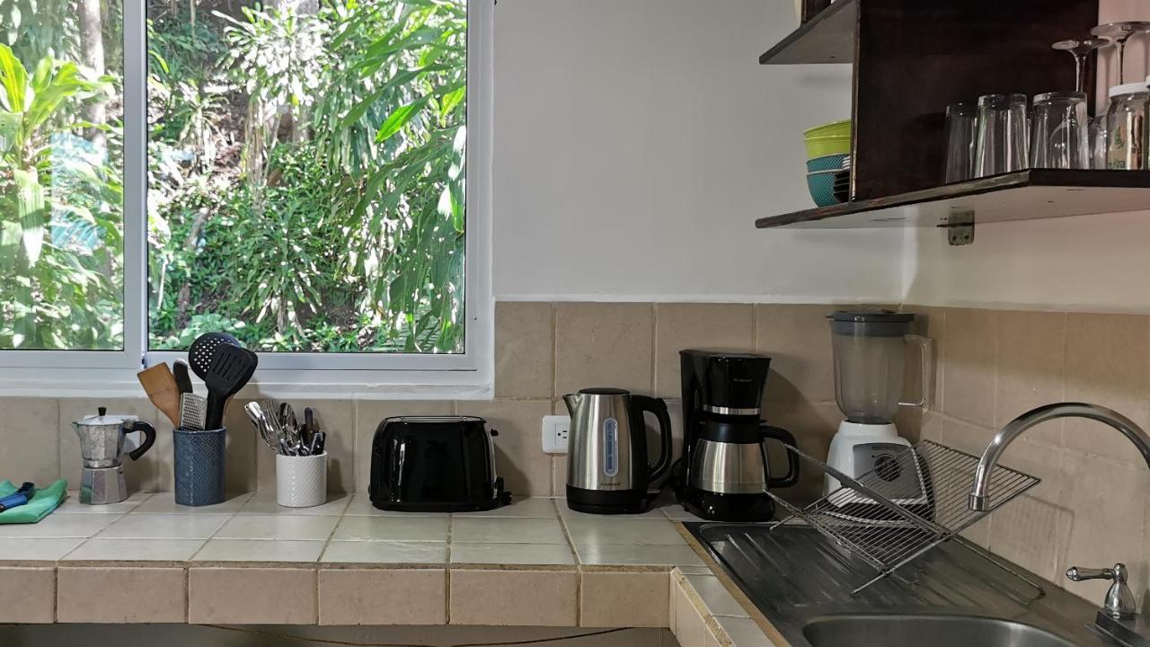 Colibri Apartments - 4 Min Walk To The Beach! Playa Santa Teresa  Exterior foto