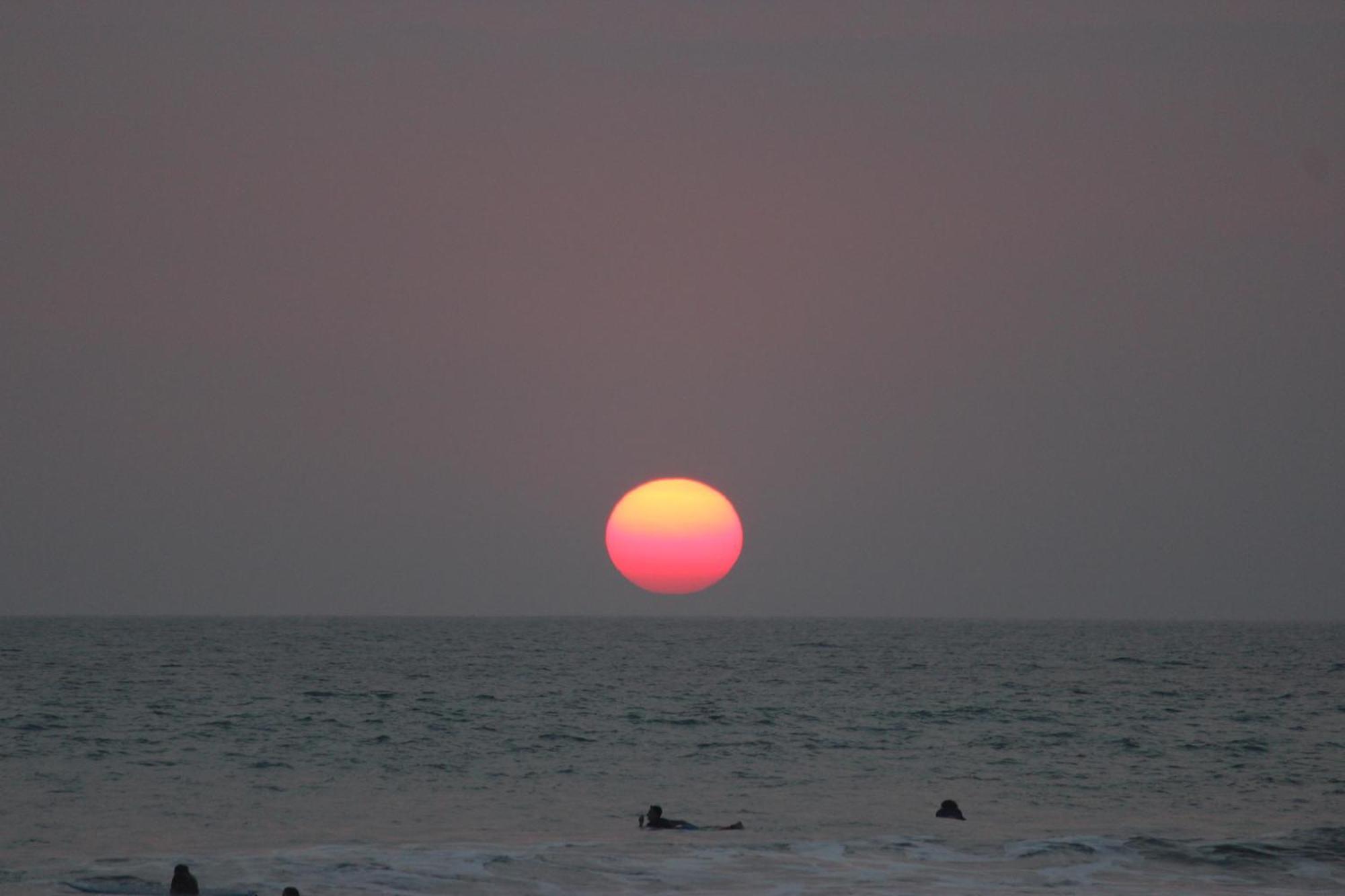 Colibri Apartments - 4 Min Walk To The Beach! Playa Santa Teresa  Exterior foto