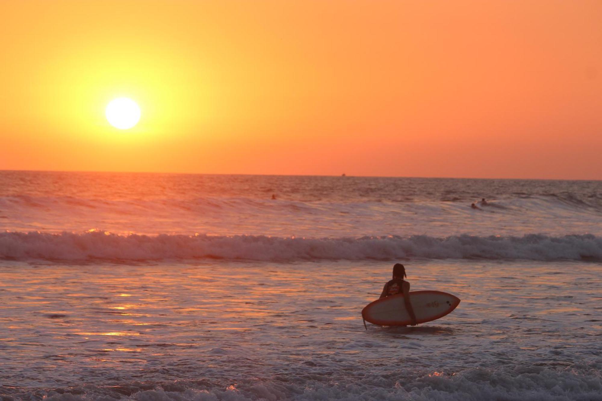 Colibri Apartments - 4 Min Walk To The Beach! Playa Santa Teresa  Exterior foto
