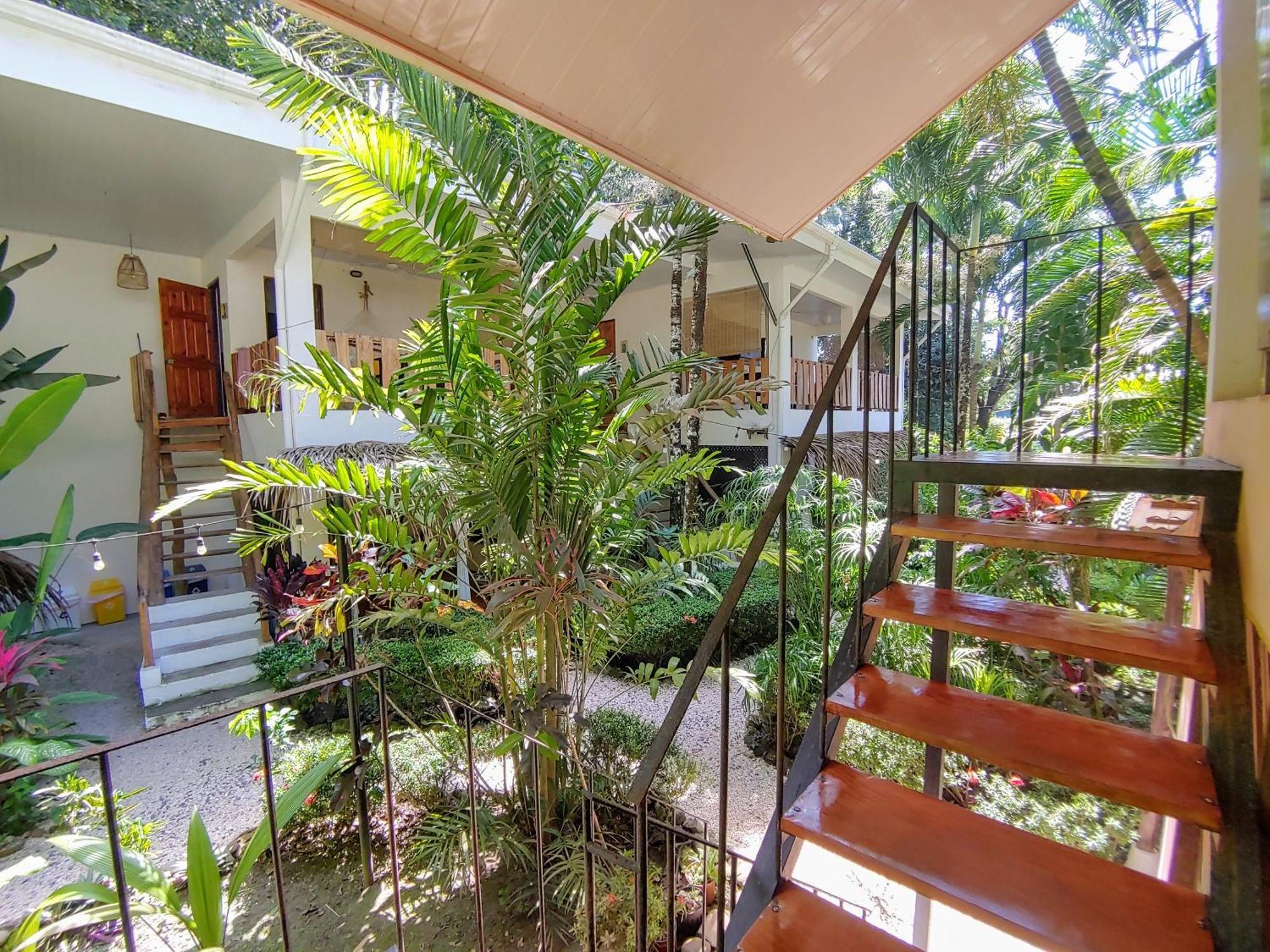 Colibri Apartments - 4 Min Walk To The Beach! Playa Santa Teresa  Exterior foto